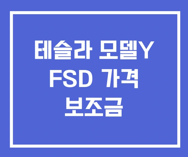테슬라 모델Y FSD 가격 보조금 테슬라 모델Y FSD 가격 보조금