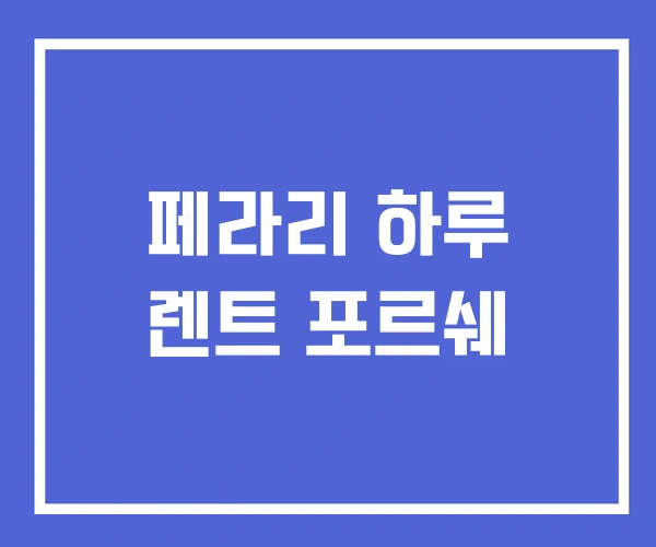 페라리 하루 렌트 포르쉐