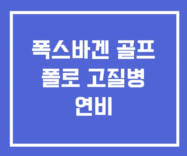 폭스바겐 골프 폴로 고질병 연비