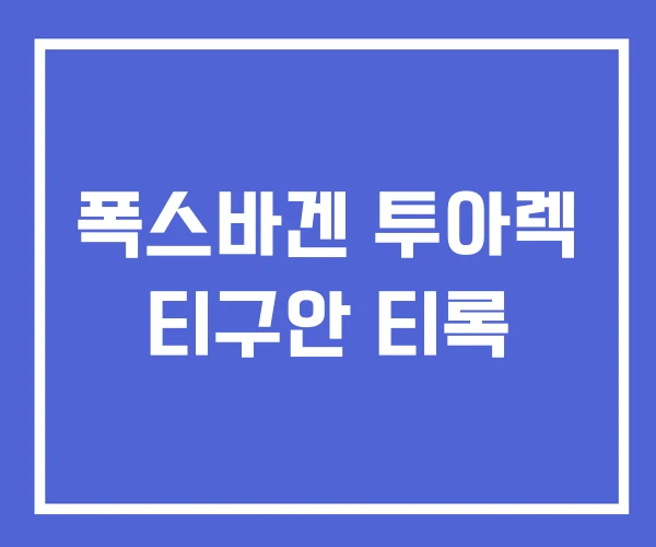 폭스바겐 투아렉 티구안 티록 폭스바겐 투아렉 티구안 티록