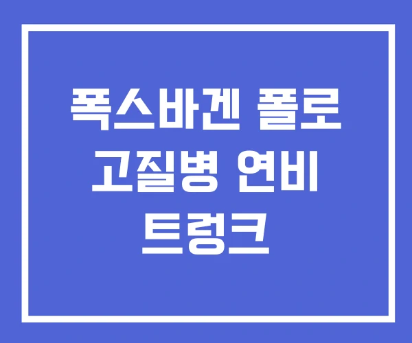 폭스바겐 폴로 고질병 연비 트렁크 폭스바겐 폴로 고질병 연비 트렁크