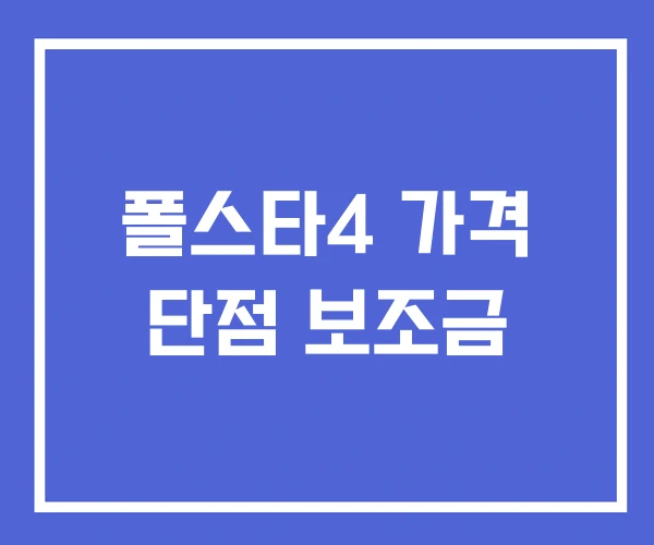 폴스타4 가격 단점 보조금