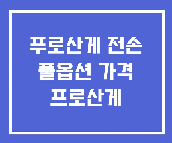 푸로산게 전손 풀옵션 가격 프로산게