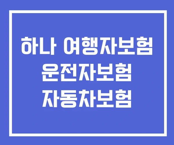 하나 여행자보험 운전자보험 자동차보험 하나 여행자보험 운전자보험 자동차보험