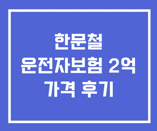 한문철 운전자보험 2억 가격 후기 한문철 운전자보험 2억 가격 후기