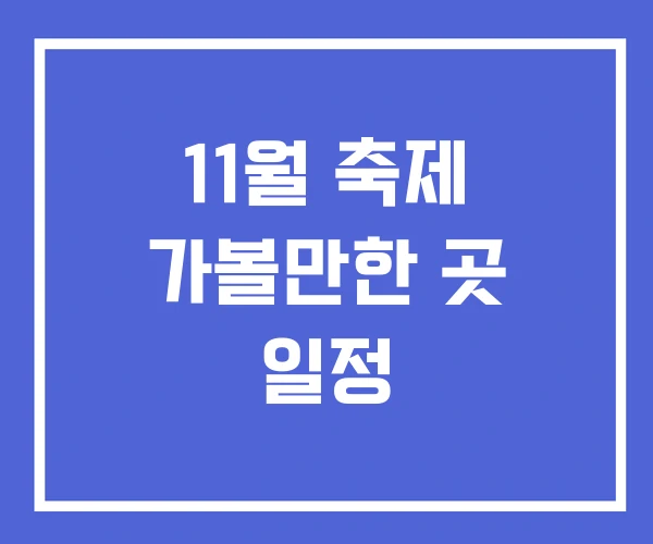 11월 축제 가볼만한 곳 일정