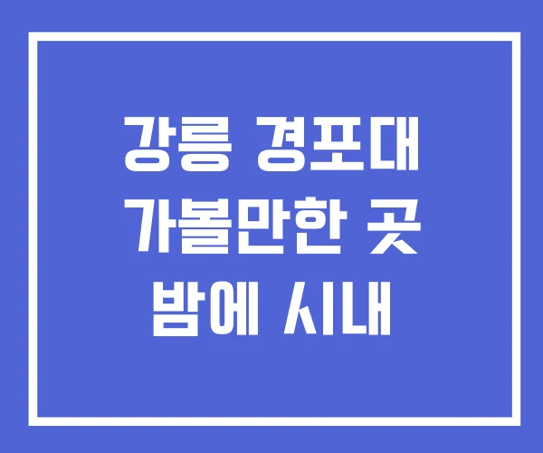 강릉 경포대 가볼만한 곳 밤에 시내 강릉 경포대 가볼만한 곳 밤에 시내