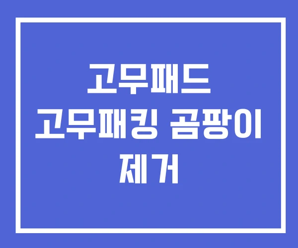 고무패드 고무패킹 곰팡이 제거 고무패드 고무패킹 곰팡이 제거