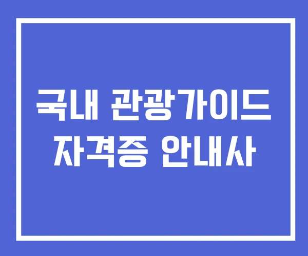 국내 관광가이드 자격증 안내사