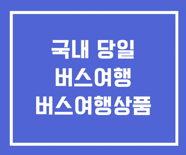 국내 당일 버스여행 버스여행상품