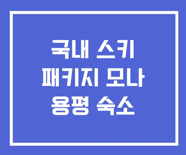 국내 스키 패키지 모나 용평 숙소