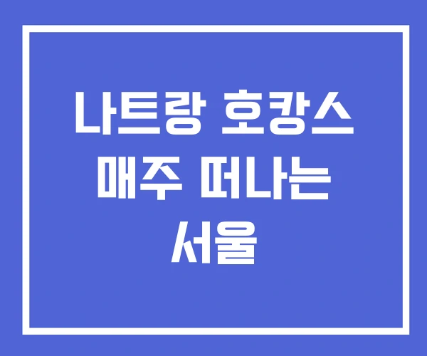 나트랑 호캉스 매주 떠나는 서울