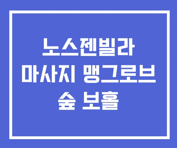 노스젠빌라 마사지 맹그로브 숲 보홀