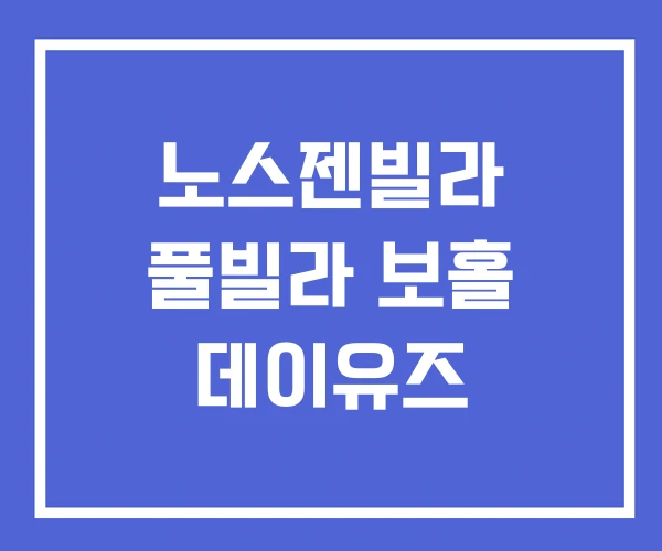 노스젠빌라 풀빌라 보홀 데이유즈