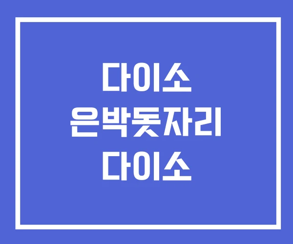 다이소 은박돗자리 다이소 다이소 은박돗자리 다이소