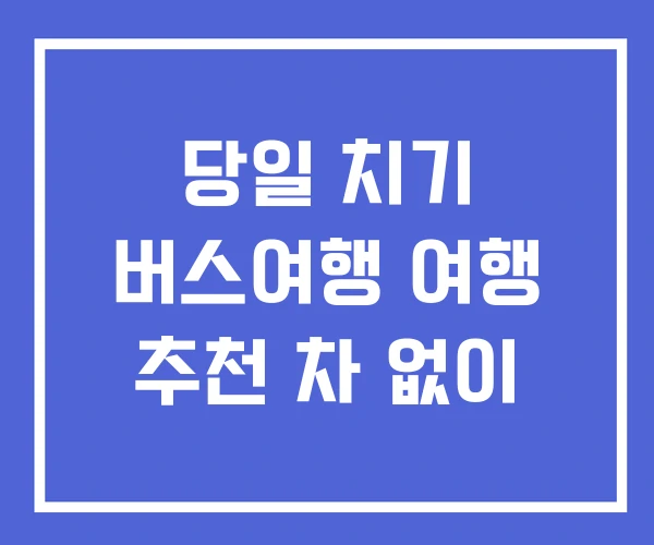 당일 치기 버스여행 여행 추천 차 없이