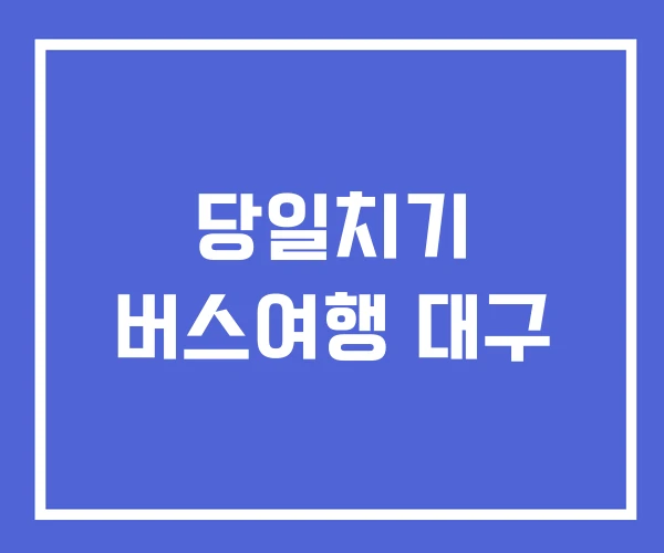 당일치기 버스여행 대구