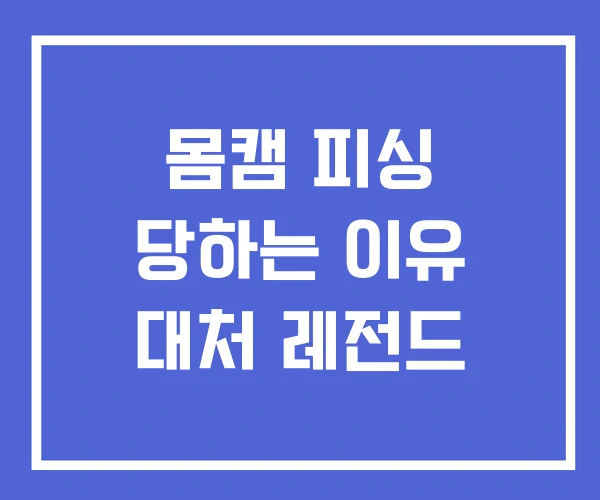 몸캠 피싱 당하는 이유 대처 레전드 몸캠 피싱 당하는 이유 대처 레전드