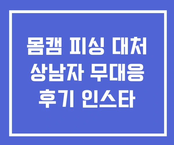 몸캠 피싱 대처 상남자 무대응 후기 인스타 몸캠 피싱 대처 상남자 무대응 후기 인스타