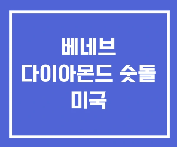 베네브 다이아몬드 숫돌 미국 베네브 다이아몬드 숫돌 미국