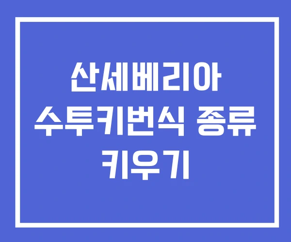 산세베리아 수투키번식 종류 키우기