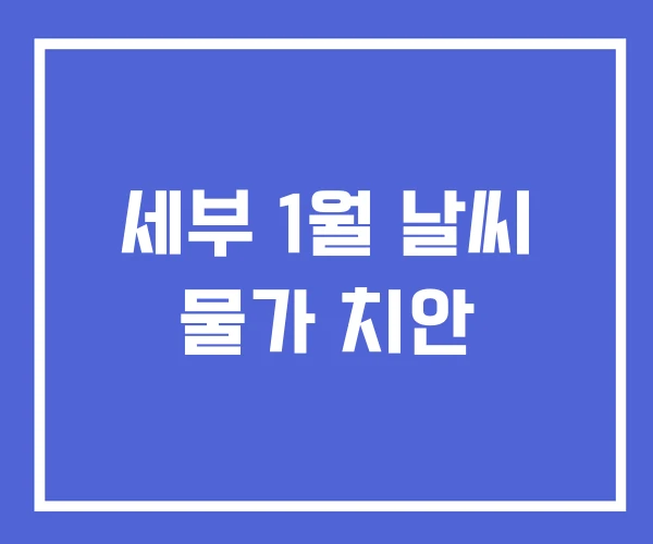 세부 1월 날씨 물가 치안