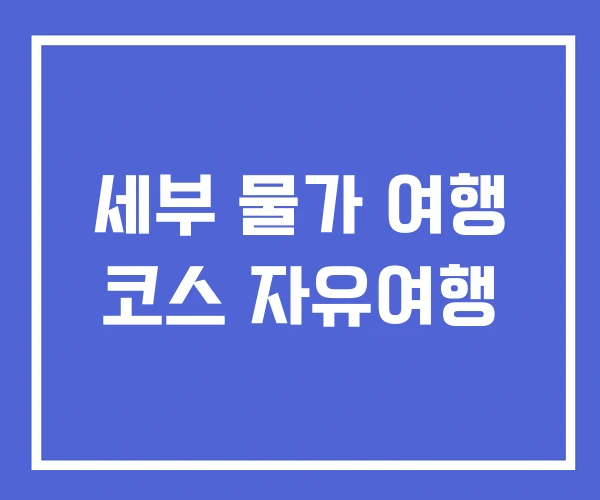 세부 물가 여행 코스 자유여행