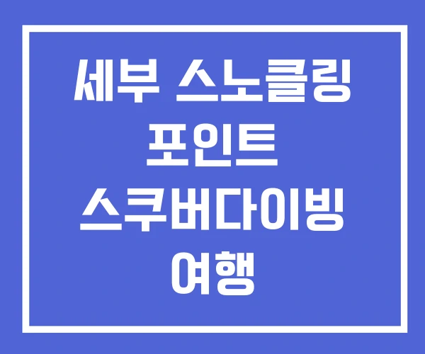 세부 스노클링 포인트 스쿠버다이빙 여행 세부 스노클링 포인트 스쿠버다이빙 여행