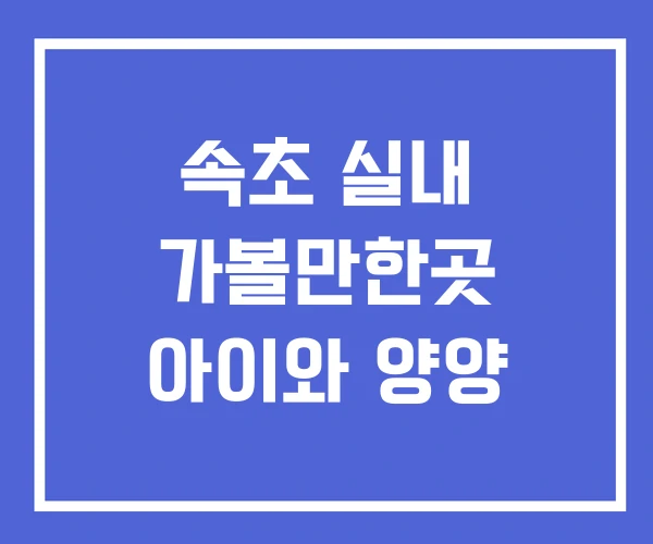 속초 실내 가볼만한곳 아이와 양양 속초 실내 가볼만한곳 아이와 양양