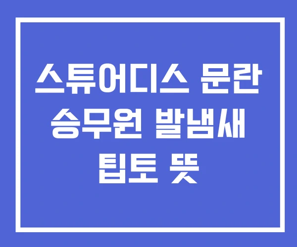 스튜어디스 문란 승무원 발냄새 팁토 뜻 스튜어디스 문란 승무원 발냄새 팁토 뜻
