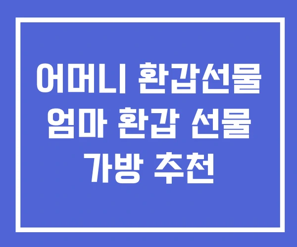 어머니 환갑선물 엄마 환갑 선물 가방 추천 어머니 환갑선물 엄마 환갑 선물 가방 추천