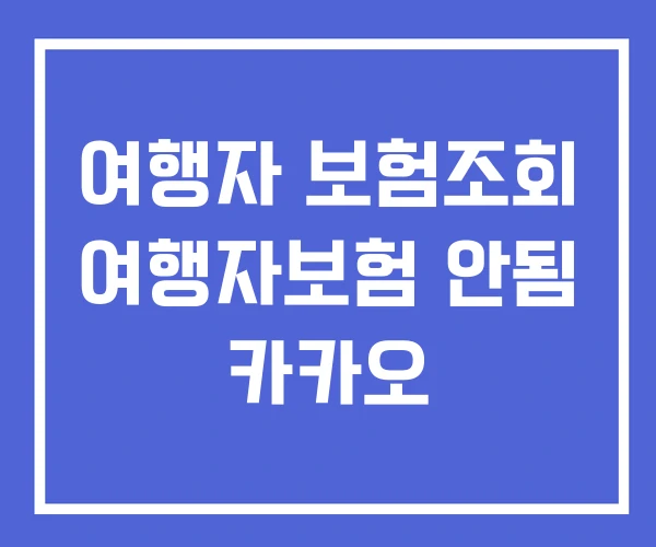 여행자 보험조회 여행자보험 안됨 카카오 여행자 보험조회 여행자보험 안됨 카카오