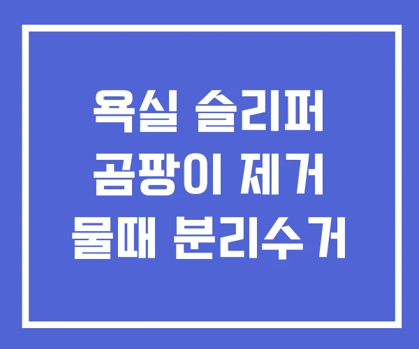 욕실 슬리퍼 곰팡이 제거 물때 분리수거 욕실 슬리퍼 곰팡이 제거 물때 분리수거