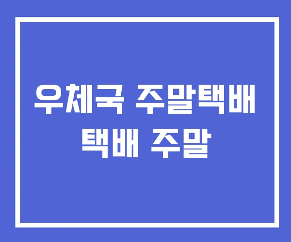 우체국 주말택배 택배 주말