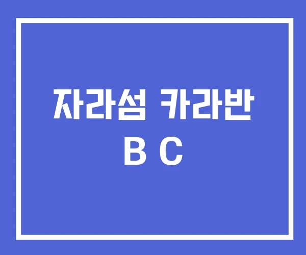 자라섬 카라반 B C