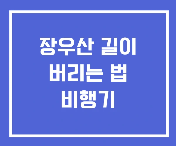 장우산 길이 버리는 법 비행기 장우산 길이 버리는 법 비행기