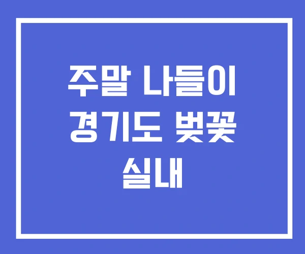 주말 나들이 경기도 벚꽃 실내 주말 나들이 경기도 벚꽃 실내