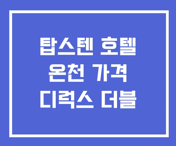 탑스텐 호텔 온천 가격 디럭스 더블