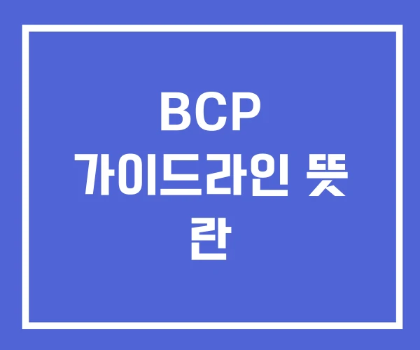 BCP 가이드라인 뜻 란 BCP 가이드라인 뜻 란