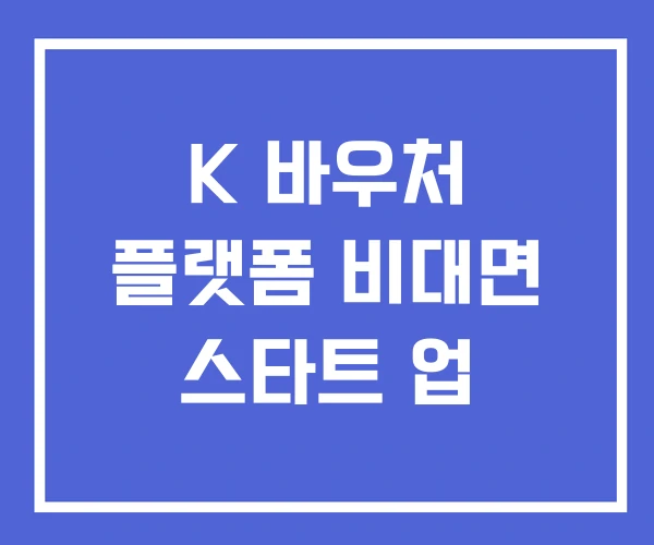 K 바우처 플랫폼 비대면 스타트 업 K 바우처 플랫폼 비대면 스타트 업