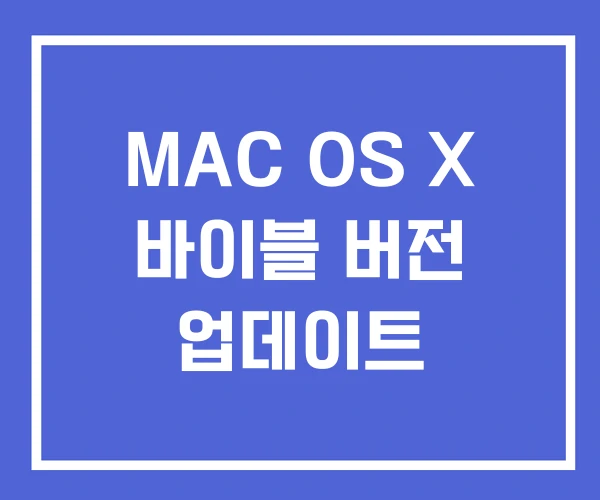 MAC OS X 바이블 버전 업데이트