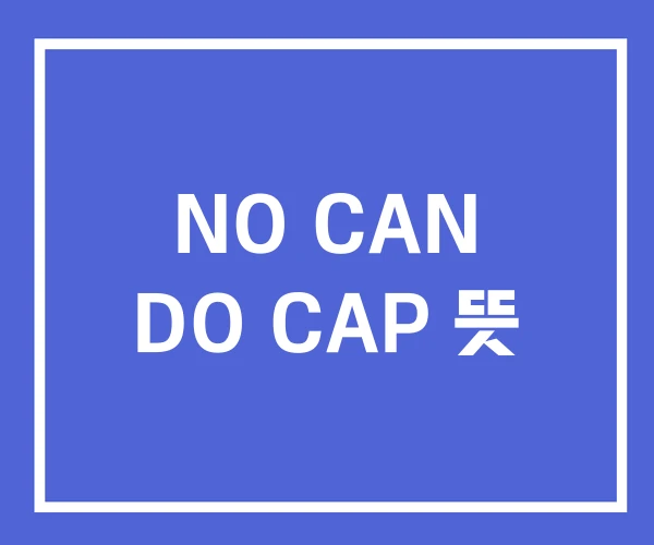 NO CAN DO CAP 뜻 NO CAN DO CAP 뜻