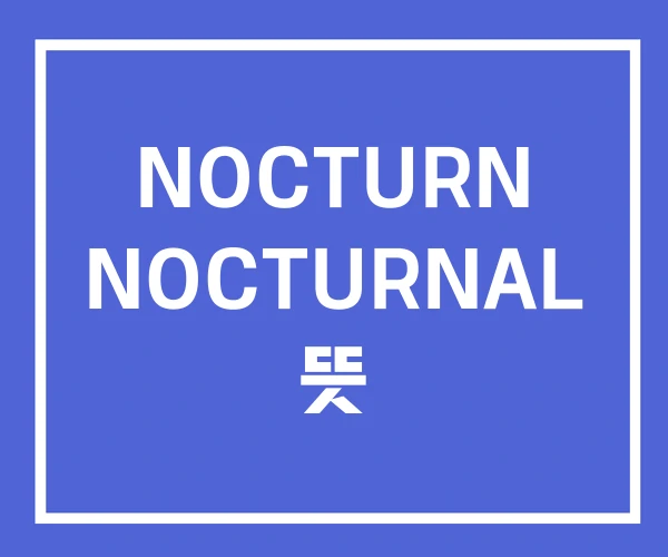 NOCTURN NOCTURNAL 뜻 NOCTURN NOCTURNAL 뜻