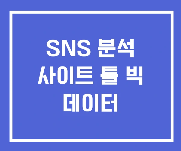 SNS 분석 사이트 툴 빅 데이터 SNS 분석 사이트 툴 빅 데이터