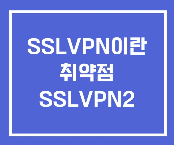 SSLVPN이란 취약점 SSLVPN2 SSLVPN이란 취약점 SSLVPN2