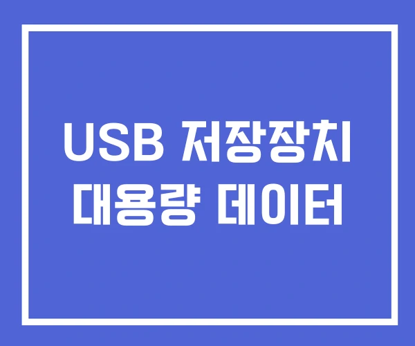 USB 저장장치 대용량 데이터