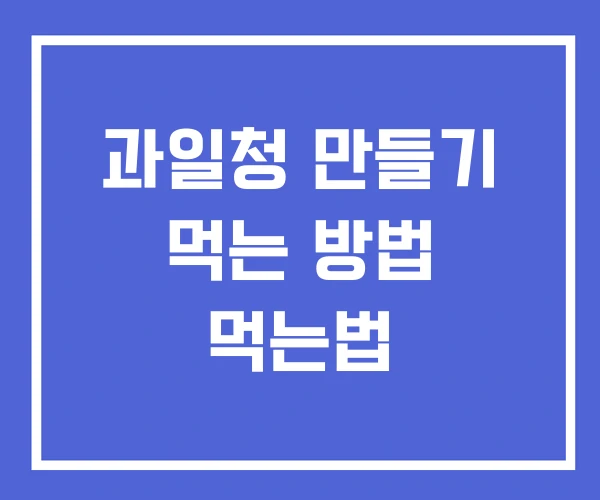 과일청 만들기 먹는 방법 먹는법 과일청 만들기 먹는 방법 먹는법