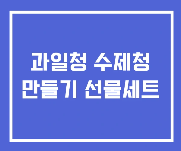 과일청 수제청 만들기 선물세트 과일청 수제청 만들기 선물세트