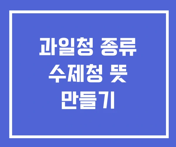 과일청 종류 수제청 뜻 만들기 과일청 종류 수제청 뜻 만들기
