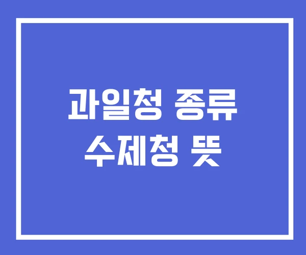 과일청 종류 수제청 뜻 과일청 종류 수제청 뜻